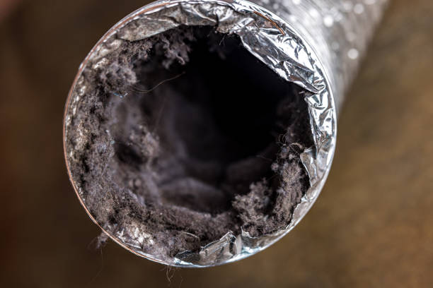 Best Home Air Vent Cleaning  in Bluefield, VA