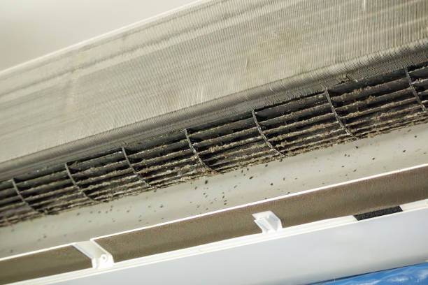 Best Professional Duct Cleaning Services  in Bluefield, VA